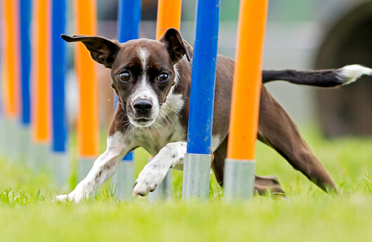 You’ve Got a Second Interview. Now What?